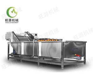 果蔬氣泡清洗機